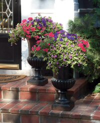 Container gardening in Powell Ohio