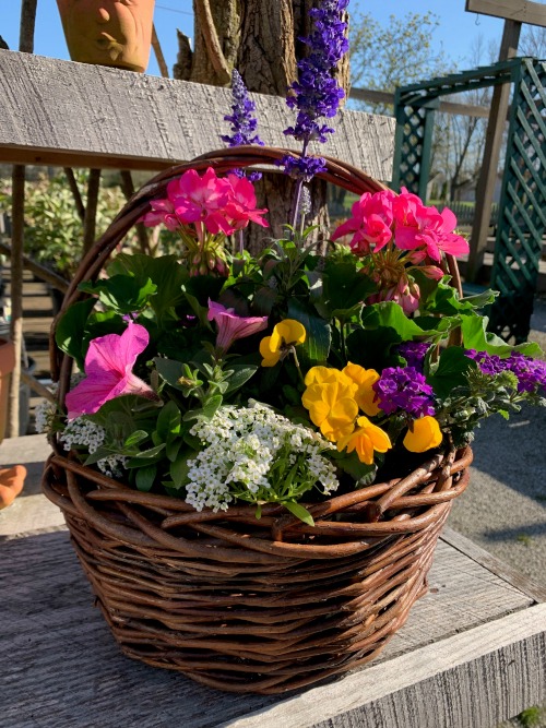 Grapevine Basket Small Round